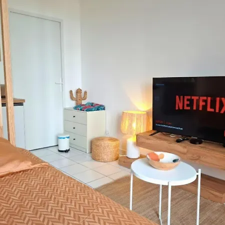Le Petit Bali - De Standing Avec Wi-fi & Tv, Proche Tramway Daire *