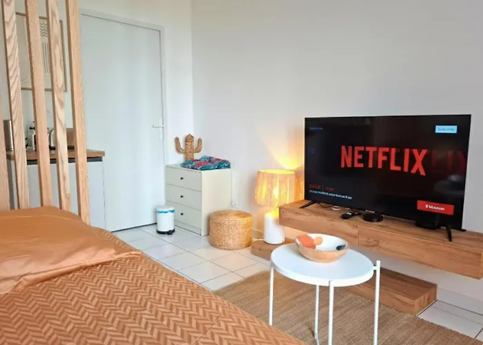 Le Petit Bali - Studio De Standing Avec Wi-Fi & Tv, Proche Tramway 公寓 *